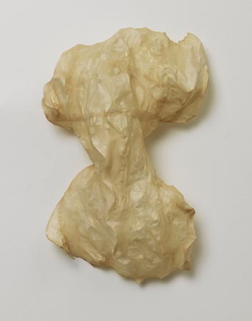 large image