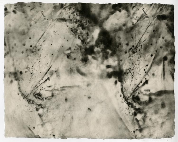 Kiki Smith Fog