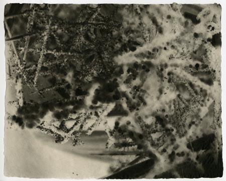 large image