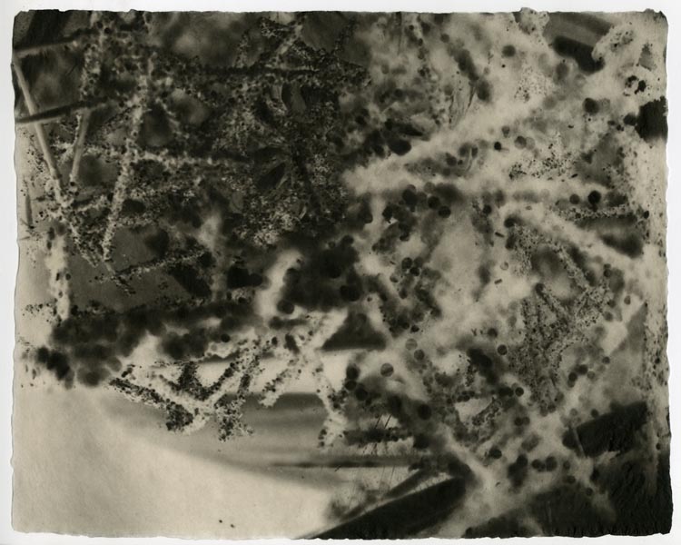 Kiki Smith Fog